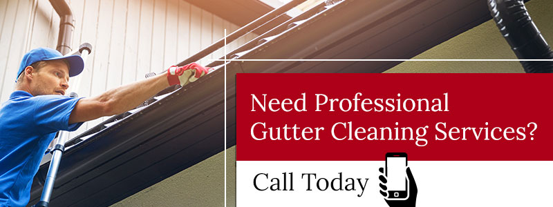 Gutter Cleaning Service The Woodlands Tx