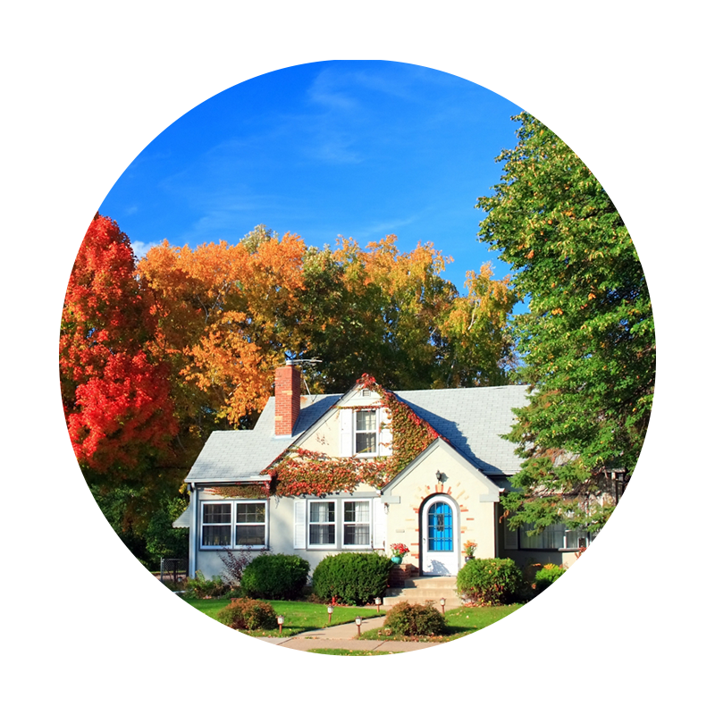 image3-5d5c14165ece4