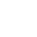 money icon